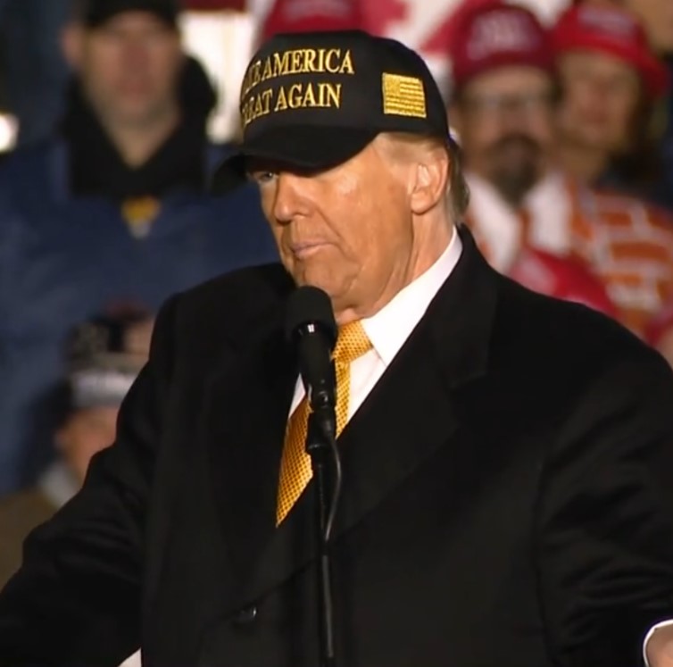 TRUMP GOLD MAGA - DARK MAGA HAT