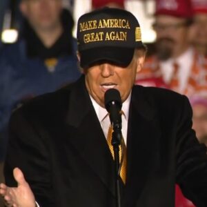 Trump Gold Dark MAGA Hat