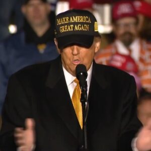 Trump Gold Dark MAGA Hat