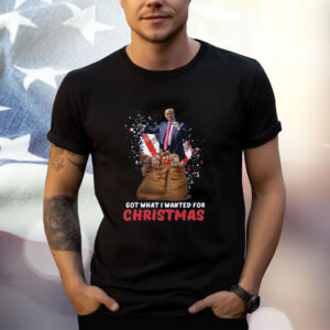 Christmas Trump Won Shirt, Trump 2024 Shirt, Trump Christmas 24 Shirt