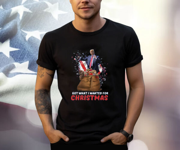 Christmas Trump Won Shirt, Trump 2024 Shirt, Trump Christmas 24 Shirt