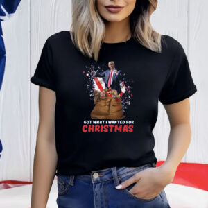 Christmas Trump Won Shirt, Trump 2024 Shirt, Trump Christmas 24 Shirt