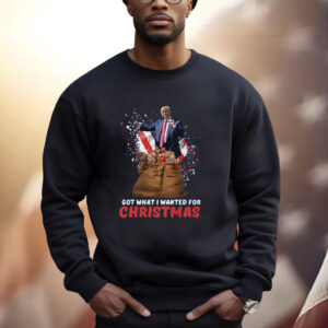 Christmas Trump Won Shirt, Trump 2024 Shirt, Trump Christmas 24 Shirt