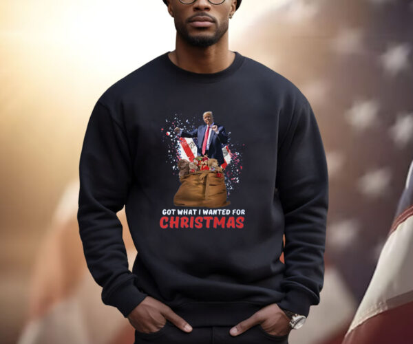 Christmas Trump Won Shirt, Trump 2024 Shirt, Trump Christmas 24 Shirt