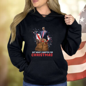 Christmas Trump Won Shirt, Trump 2024 Shirt, Trump Christmas 24 Shirt