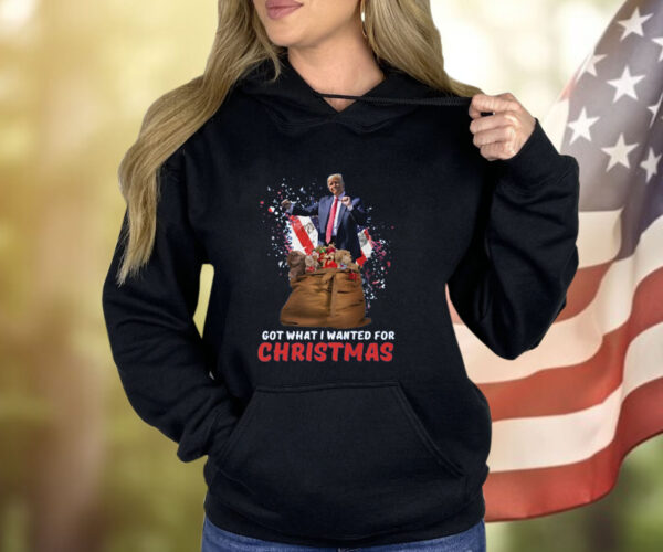 Christmas Trump Won Shirt, Trump 2024 Shirt, Trump Christmas 24 Shirt