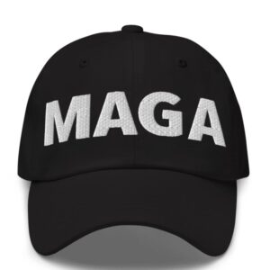 Donald Trump - Elon Musk MAGA Hat