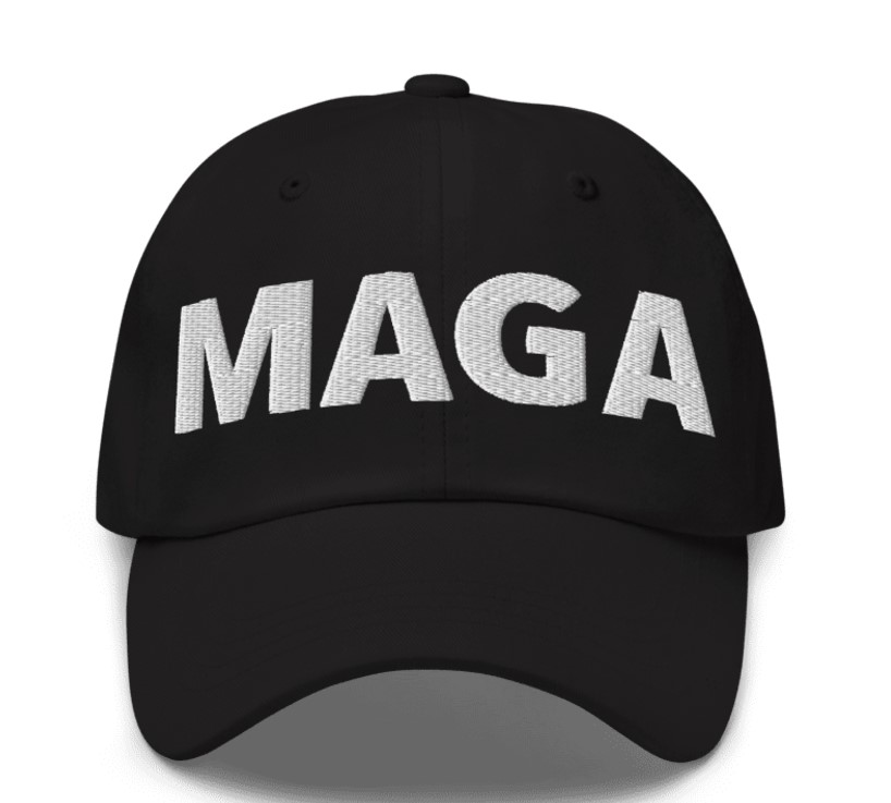 Donald Trump - Elon Musk MAGA Hat