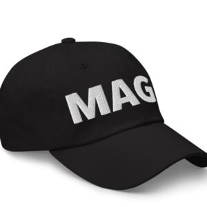 Donald Trump - Elon Musk MAGA Hat