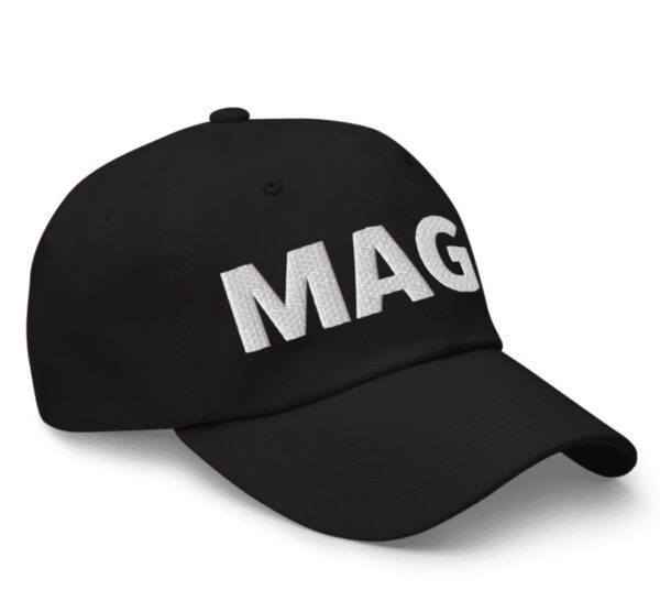 Donald Trump - Elon Musk MAGA Hat