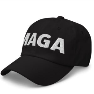 Donald Trump - Elon Musk MAGA Hat