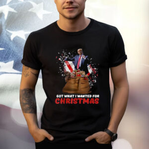 Got What I Wanted For Christmas - Trump Won 2024 President T-Shirt