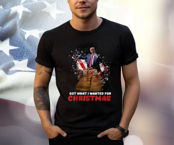 Got What I Wanted For Christmas - Trump Won 2024 President T-Shirt