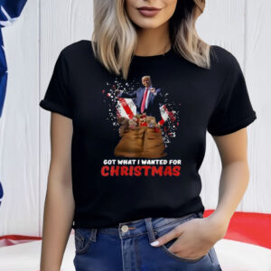 Got What I Wanted For Christmas - Trump Won 2024 President T-Shirt