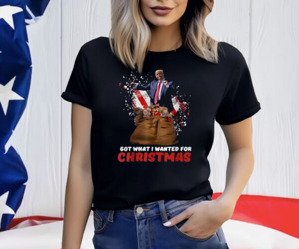 Got What I Wanted For Christmas - Trump Won 2024 President T-Shirt