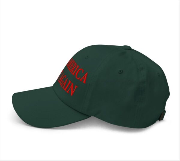 HOT! Trump Christmas MAGA Hat