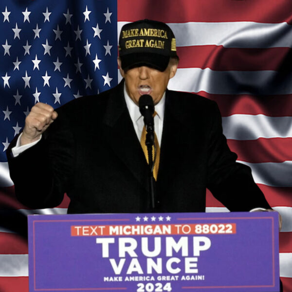 Trump Again Won - Gold Dark Maga Hat