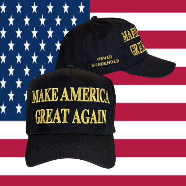Trump Won - Gold Dark Maga Hat