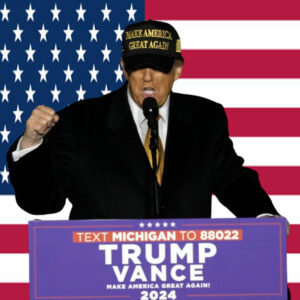 Trump Won - Gold Dark Maga Hat