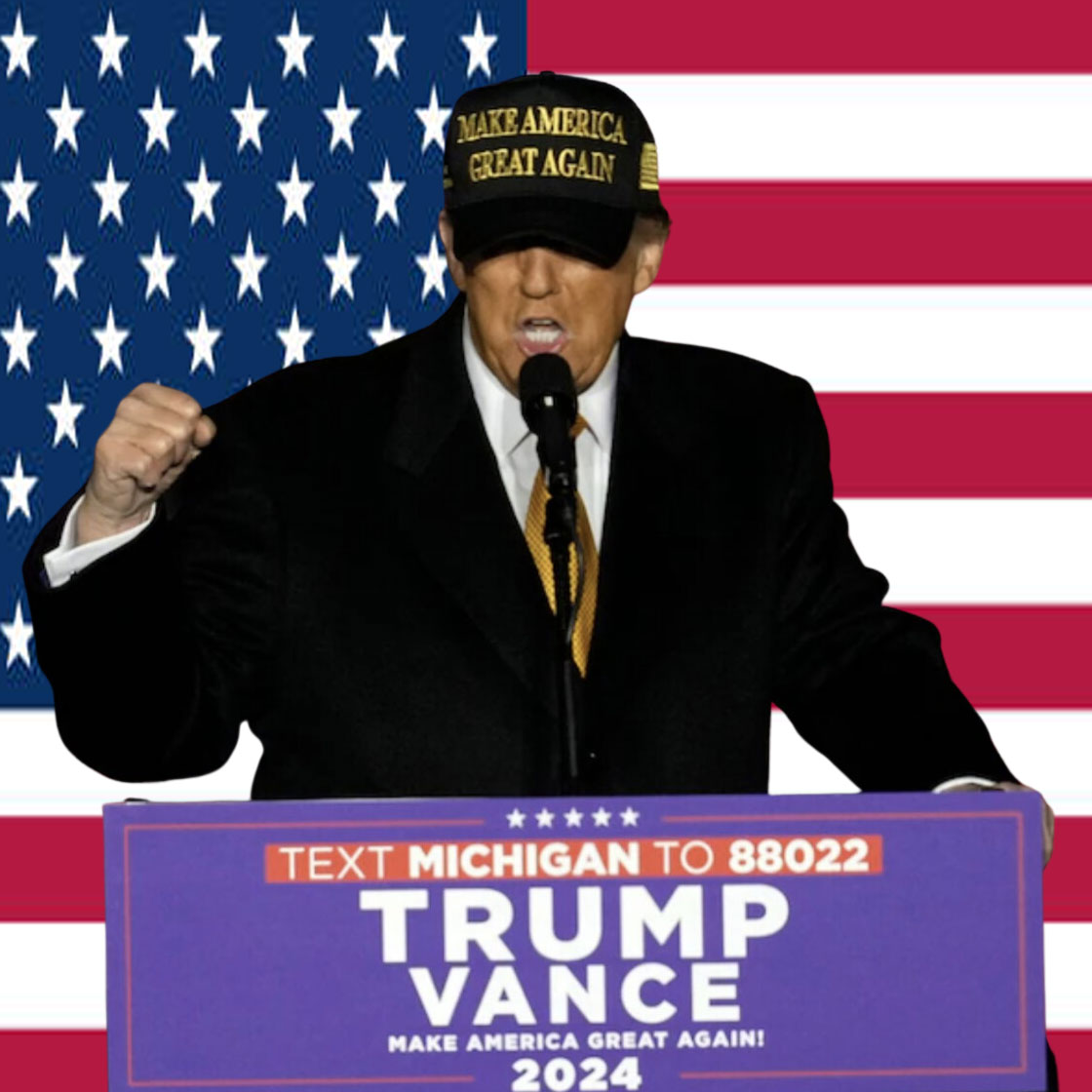 Trump Won - Gold Dark Maga Hat