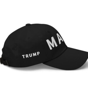 Trump Musk MAGA Hat