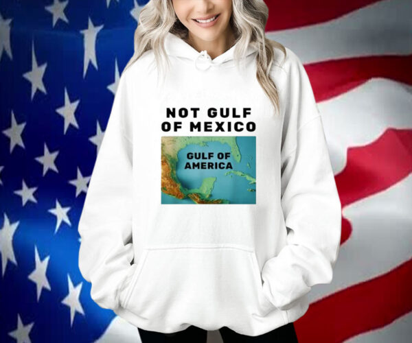 Funny Trump America's Gulf Not Gulf Of Mexico Shirt
