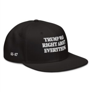 Trump Was Right About Everything Snapback Hat
