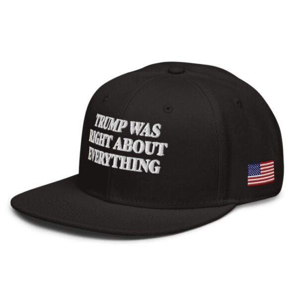 Trump Was Right About Everything Snapback Hat