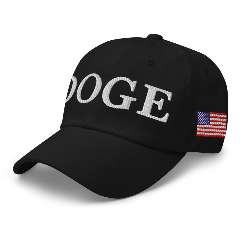 Department of Government Efficiency Dad Hat