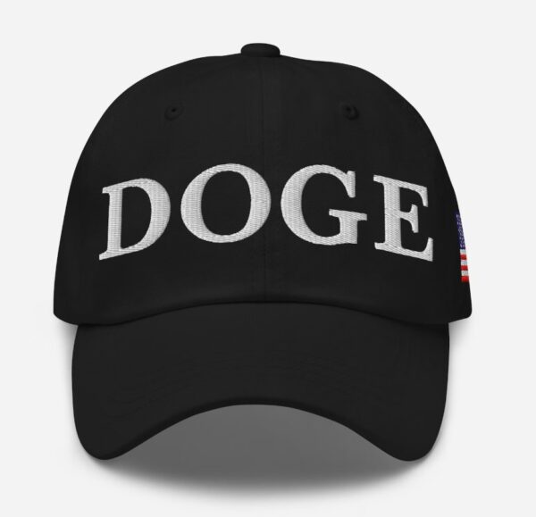 Department of Government Efficiency Dad Hat