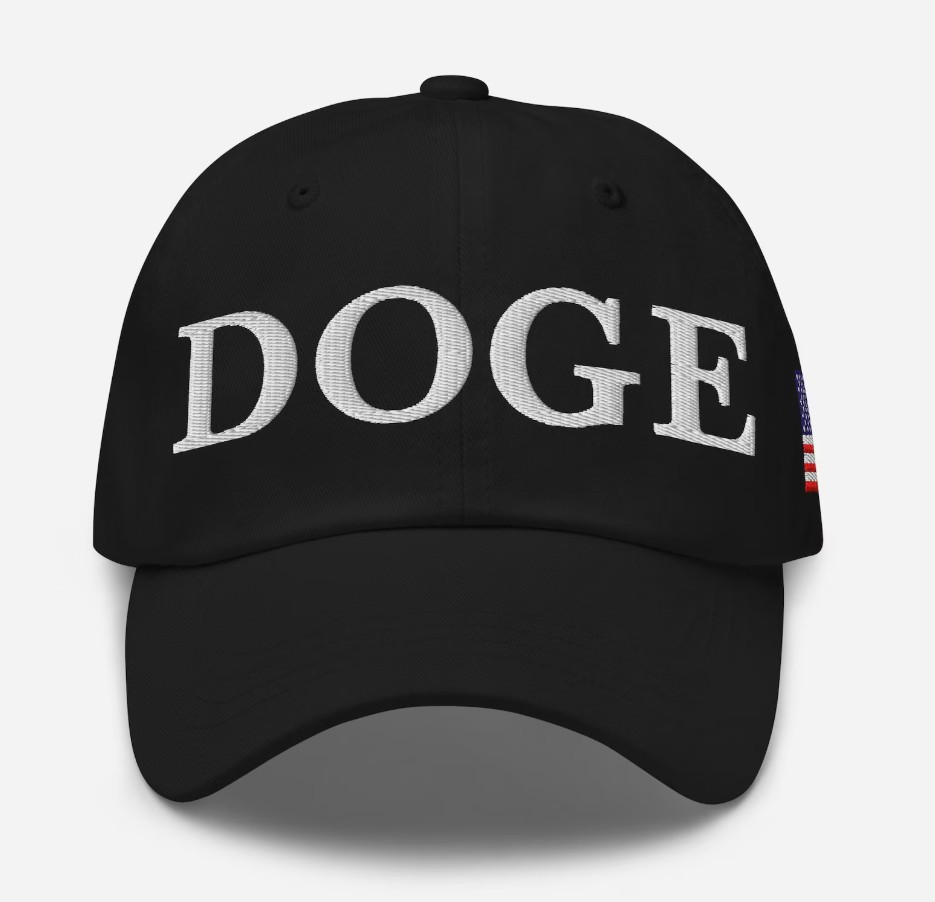 Department of Government Efficiency Dad Hat