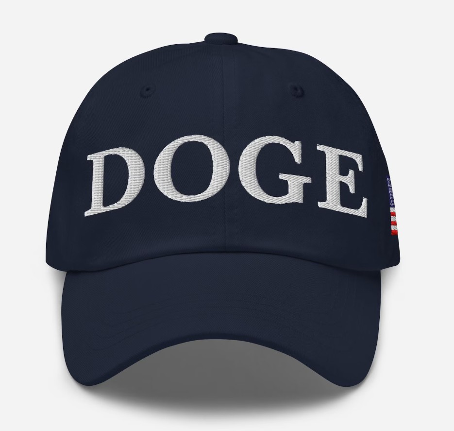 Department of Government Efficiency Dad Hat
