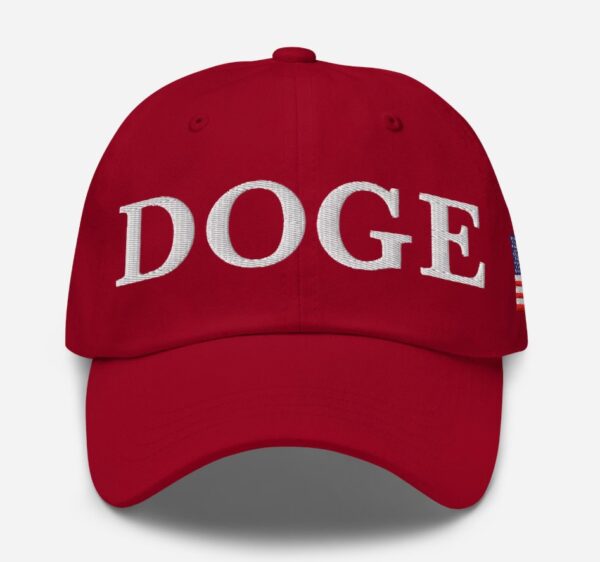 Department of Government Efficiency Dad Hat
