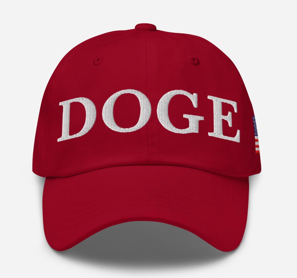 Department of Government Efficiency Dad Hat