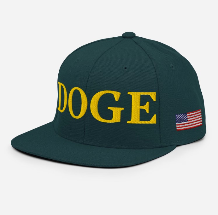 Department of Government Efficiency Snapback Hat