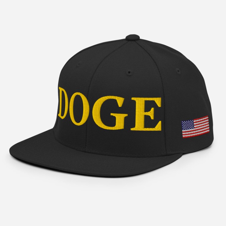 Department of Government Efficiency Snapback Hat