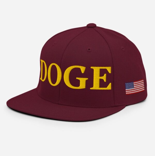 Department of Government Efficiency Snapback Hat