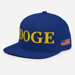 Department of Government Efficiency Snapback Hat