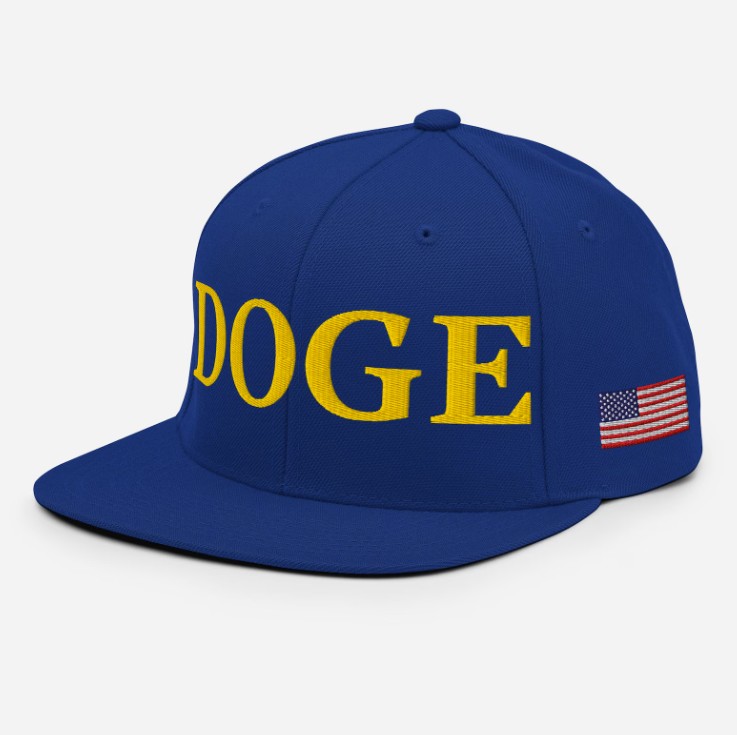 Department of Government Efficiency Snapback Hat