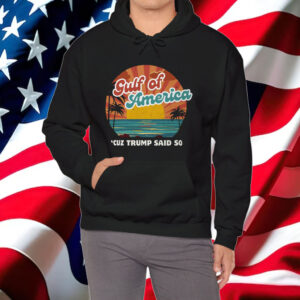 Funny Gulf of America Shirt Donald Trump 2025 MAGA Shirt